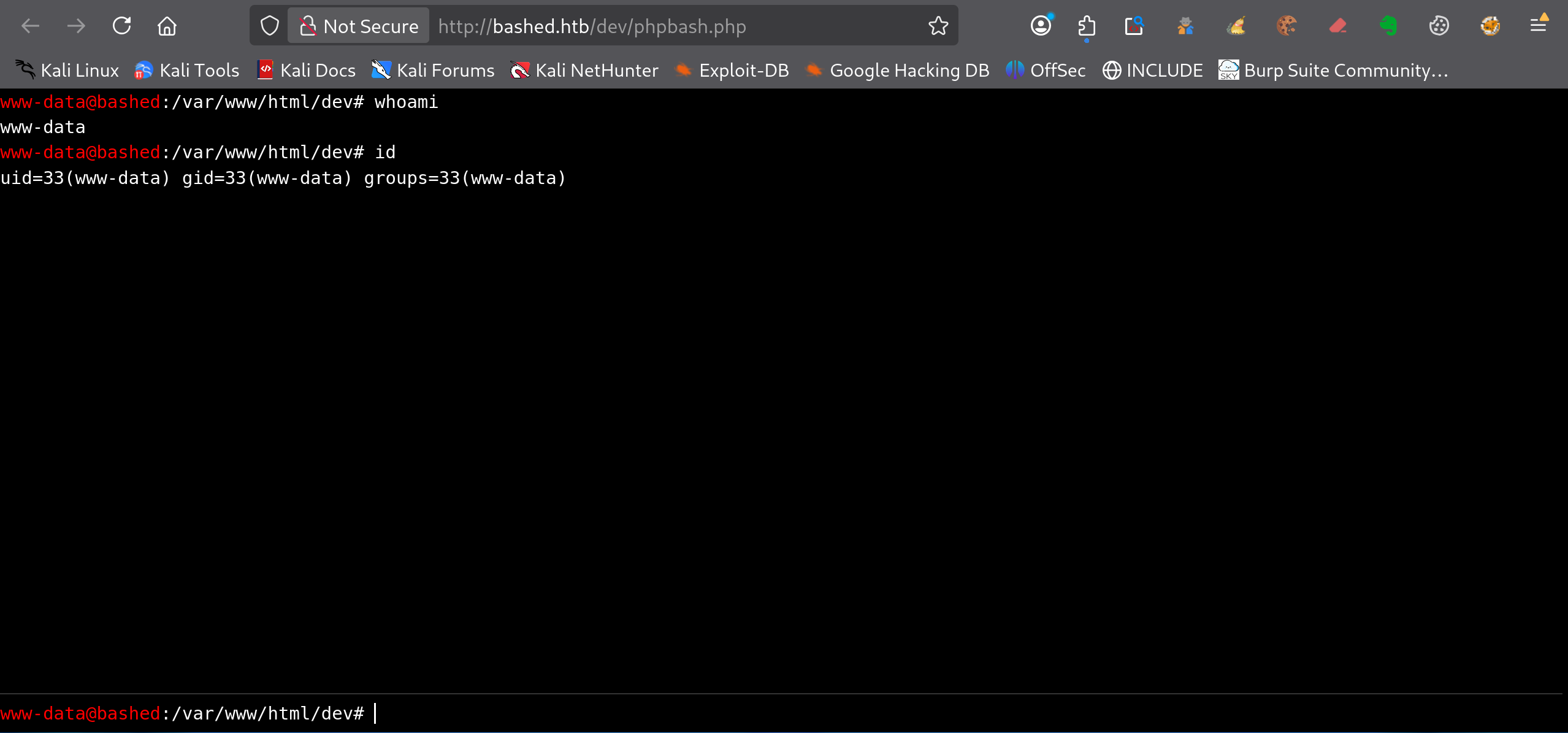 Interface phpbash exécutant les commandes whoami, id et pwd en tant que www-data