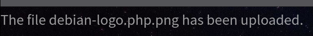 Confirmation de l’upload du fichier debian-logo.php.png sur Magic