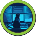 Machine Manage (HTB Easy) — Tomcat, RMI/JMX et escalade de privilèges